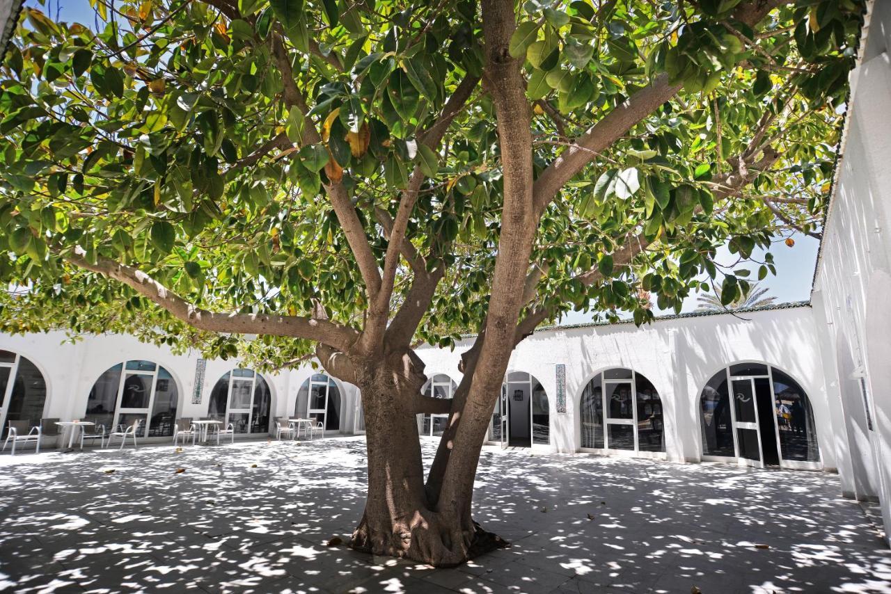Отель Palmyra Club Набёль Экстерьер фото